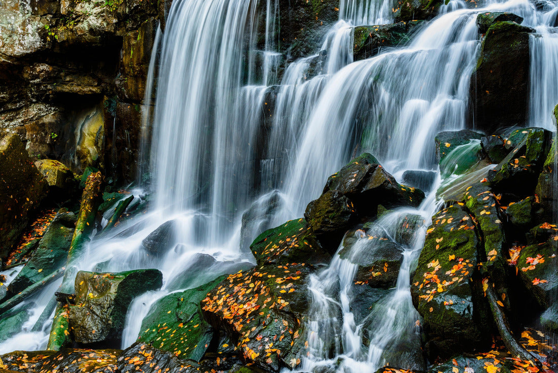 Noah Jigsaw Puzzle Autumn day at Wolf Creek Falls, New River Gorge National Park and Preserve in Fayette County, West Virginia, USA 2000 pieces