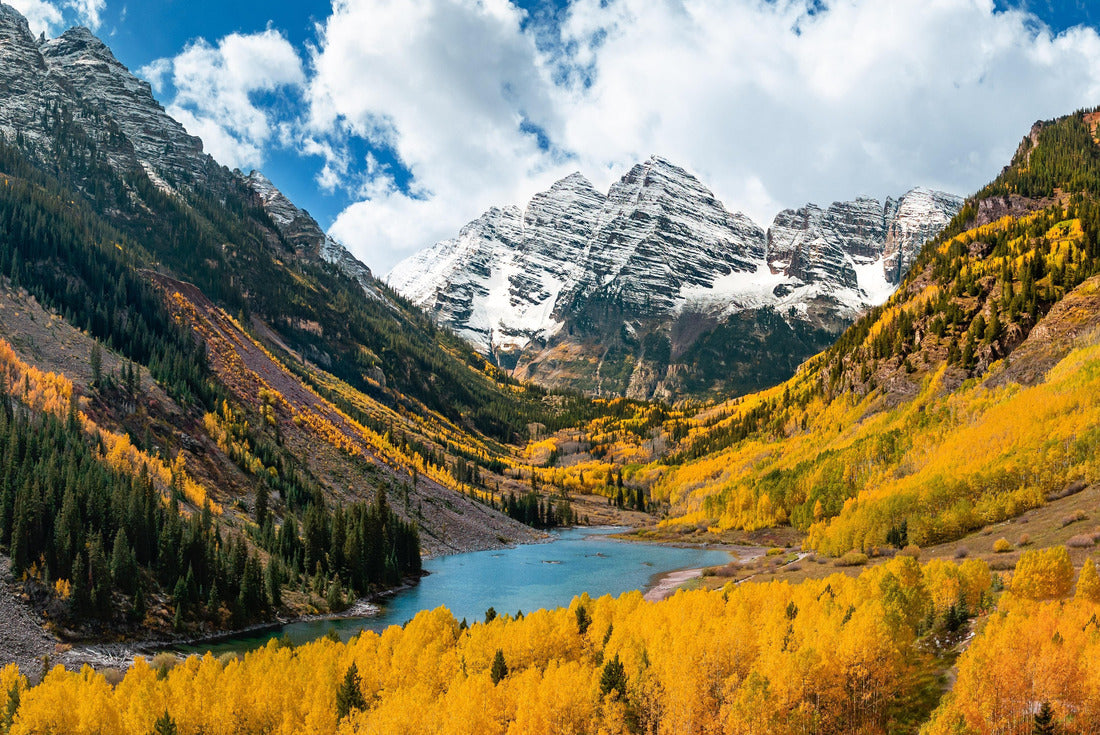 Chestnut trees in colorado during the fall season 2000pc Puzzle