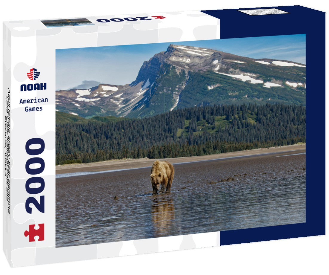 Adult female grizzly bear clamming, Lake Clark National Park and Preserve, Alaska 2000pc Puzzle