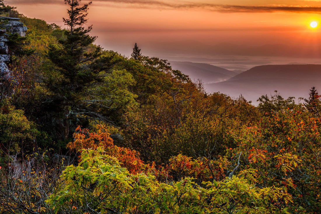Sunrise at Bear Rocks Preserve Dolly Sods in Monongahela National Forest, West Virginia, USA 2000pc Puzzle