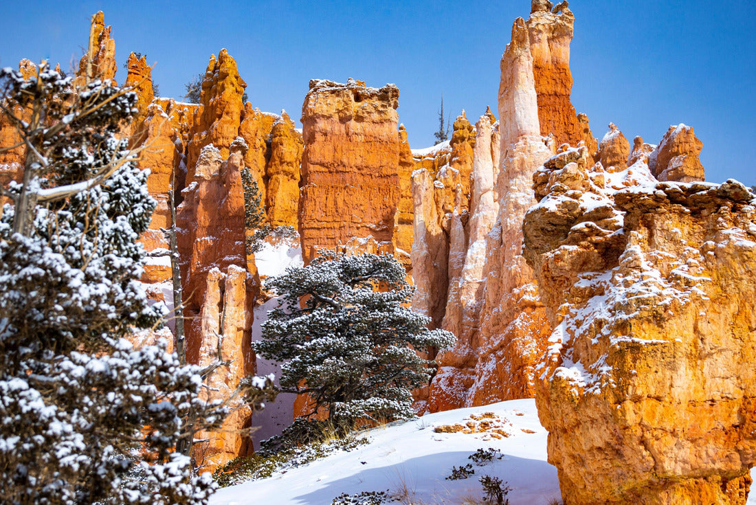 Noah Jigsaw Puzzle Bryce Canyon National Park in winter, unique rock formations in Utah covered in snow, orange rocks in snow, cold winter in the USA 2000 pieces