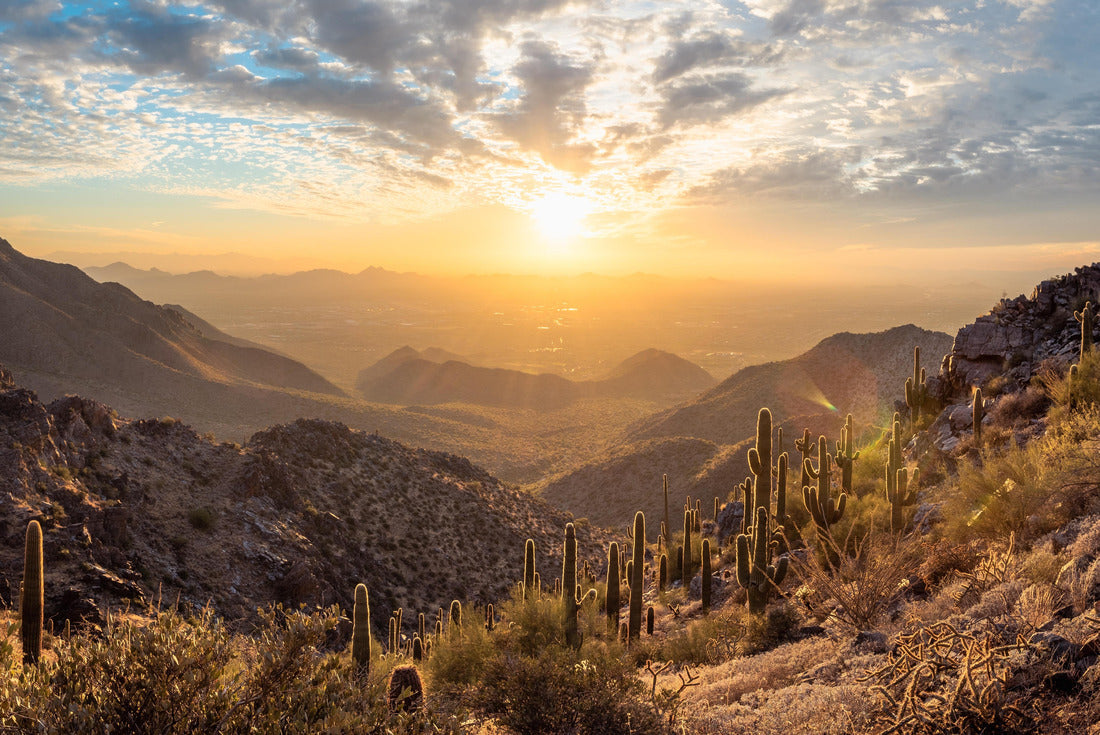 McDowell Sonoran Preserve overlooking Scottsdale, AZ on a beautiful sunset 2000pc Puzzle