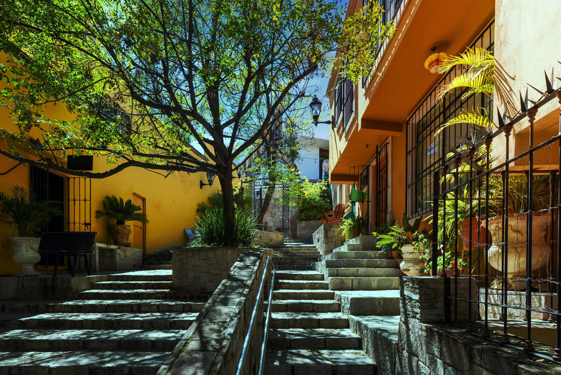 Durango, Victoria de Durango colorful colonial and historic city center near the central Plaza de Armas and the cathedral basilica 2000pc Puzzle