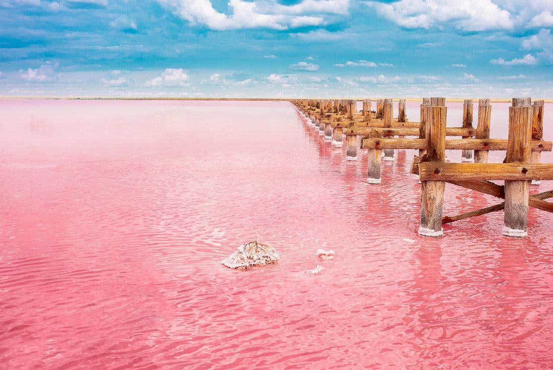 The pink lake is a beautiful landscape, unusual nature. A unique rare natural phenomenon. Salt lake with pink algae 2000pc Puzzle