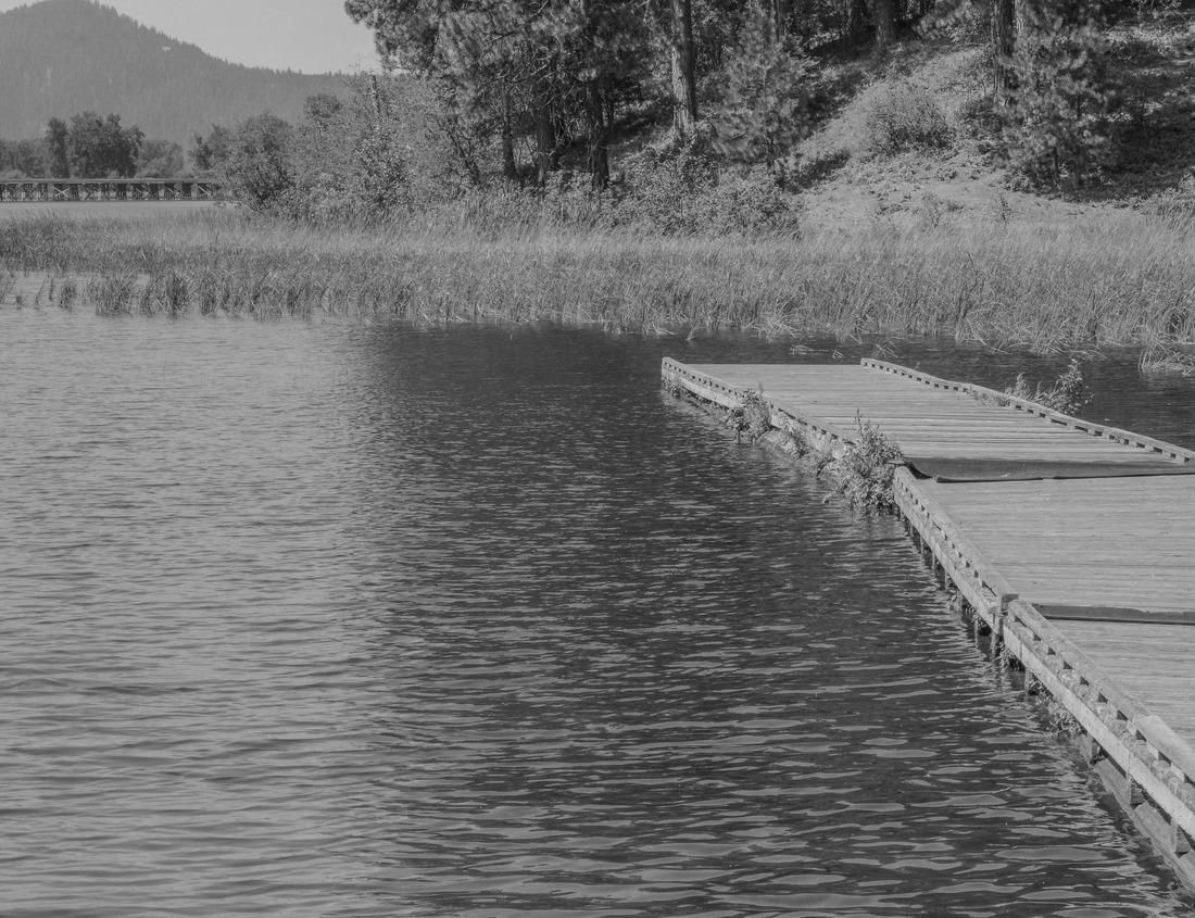 Noah Jigsaw Puzzle Scenic Bridal Veil falls at Provo Canyon in Utah during autumn time in black white 1000 pieces