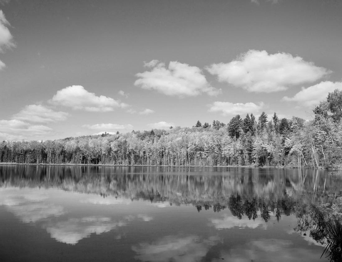 Noah Jigsaw Puzzle view of the Three Crowns, Polish Pieniny Mountains in black white 1000 pieces