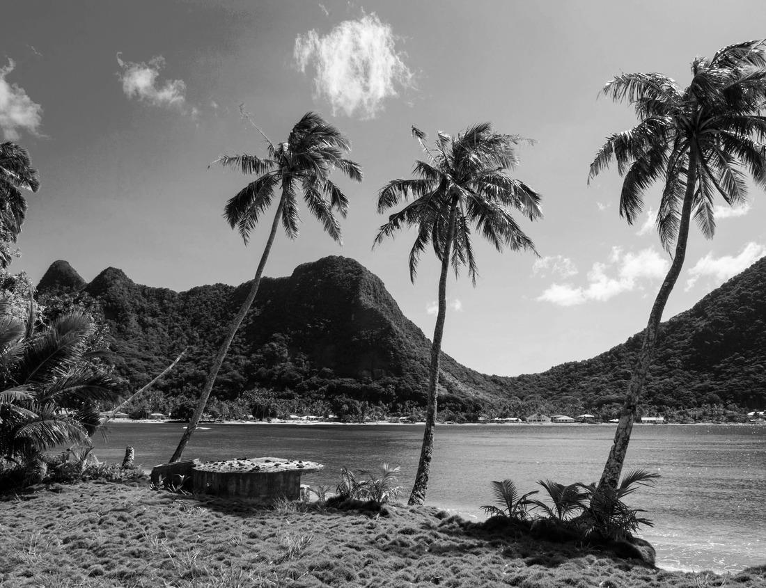 Noah Jigsaw Puzzle Autumn day at the beautiful Lake Bled in Slovenia in black white 1000 pieces