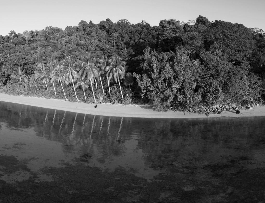Noah Jigsaw Puzzle Grand Theatre of Rabat - Morocco The theater was built on the banks of the Bouregreg River in black white 1000 pieces