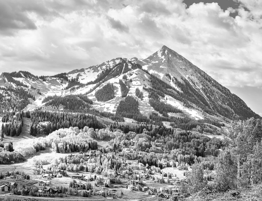 Noah Jigsaw Puzzle Parish church in Linz Austria Austria the Stadtpfarrkirche in Linz city center in black white 1000 pieces