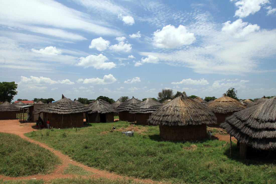 Noah Jigsaw Puzzle Small Rural Village in Uganda - The Pearl of Africa 2000 pieces