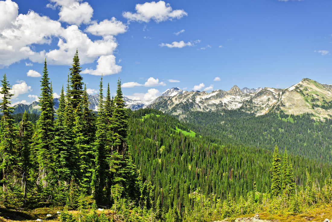 from Mount Revelstoke of rocky mountains in British Columbia, Canada 2000pc Puzzle