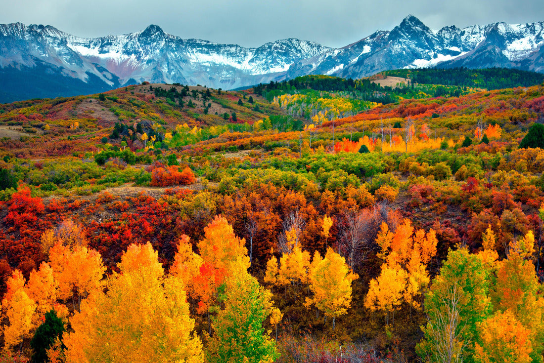 Colorado Autumn 2000pc Puzzle