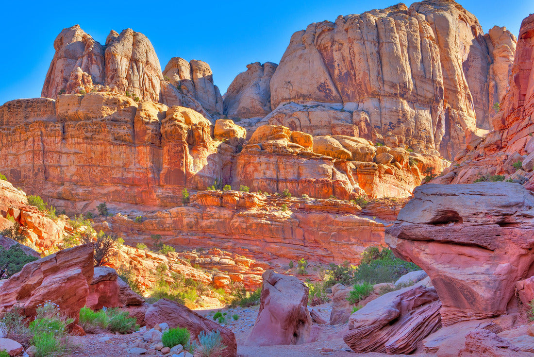 Noah Jigsaw Puzzle Grand Wash Trail in Capitol Reef National Park 2000 pieces