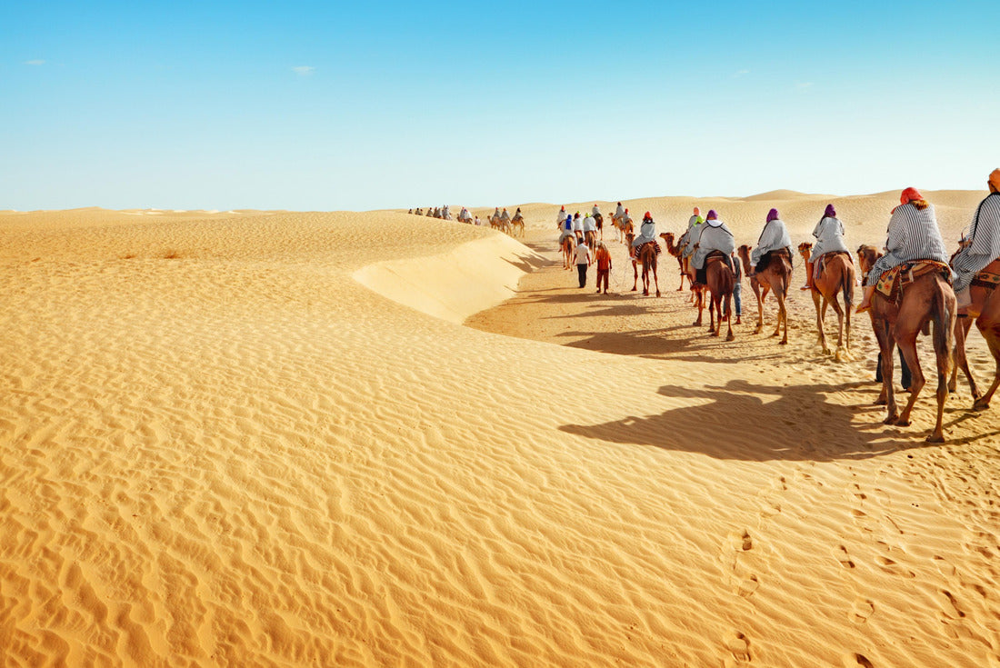 Desert of the Sahara 2000pc Puzzle