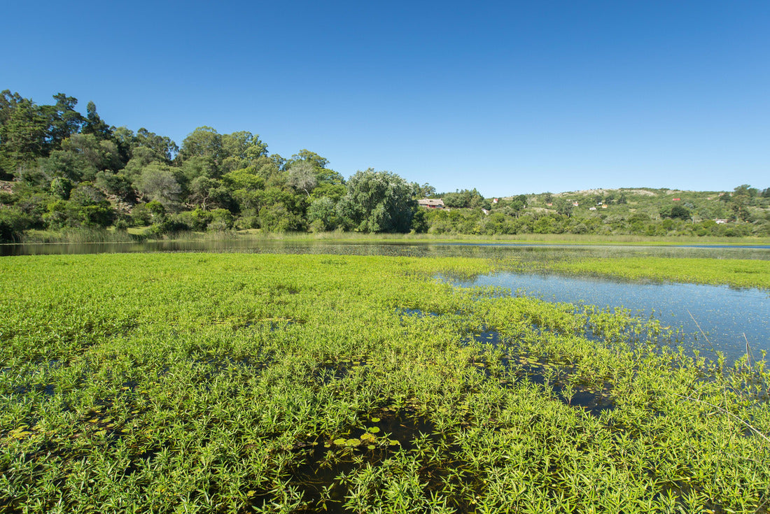 Noah Jigsaw Puzzle Lagoon in Villa Serena, Uruguay 2000 pieces