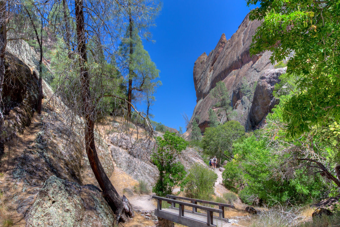 Pinnacles National Park in Monterey County, California 2000pc Puzzle