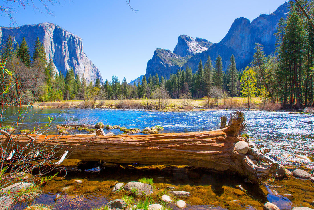 Noah Jigsaw Puzzle Yosemite Merced River el Capitan and Half Dome in California National Parks USA 2000 pieces