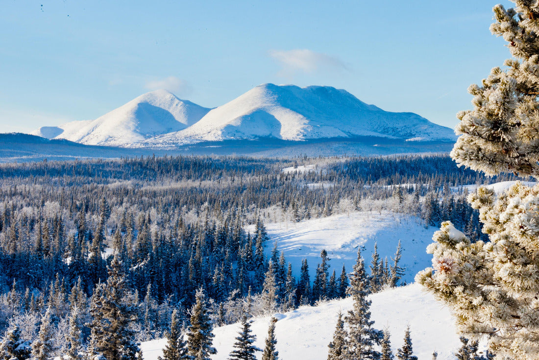 Snowy boreal forest taiga winter wilderness landscape Yukon Territory, Canada, north of Whitehorse 2000pc Puzzle
