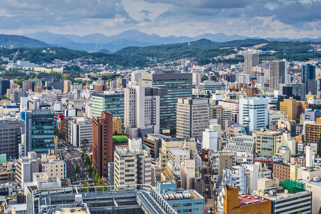 Sendai, Japan cityscape 2000pc Puzzle