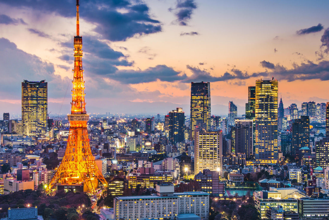 Tokyo, Japan skyline at Tokyo Tower 2000pc Puzzle