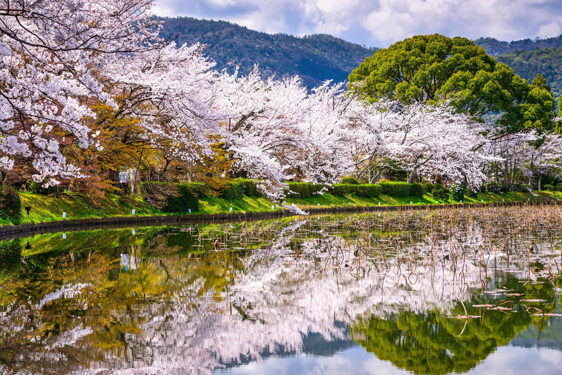 Noah Jigsaw Puzzle Kyoto, Japan in the Spring at Daikaku-ji Temple's pond 2000 pieces