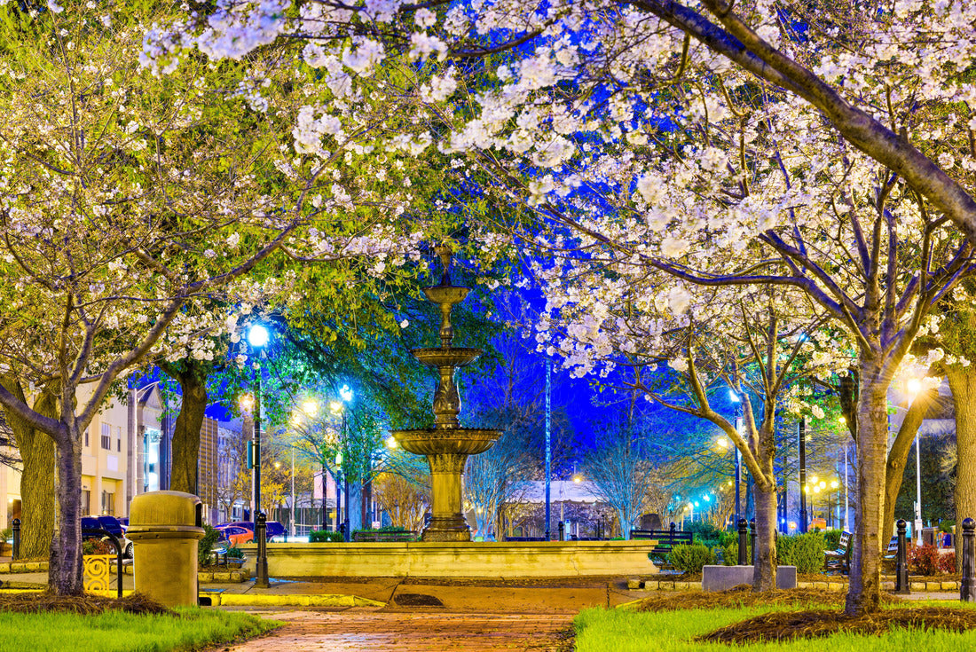 Macon, Georgia, USA downtown with spring cherry blossoms in Dunlap Park 2000pc Puzzle