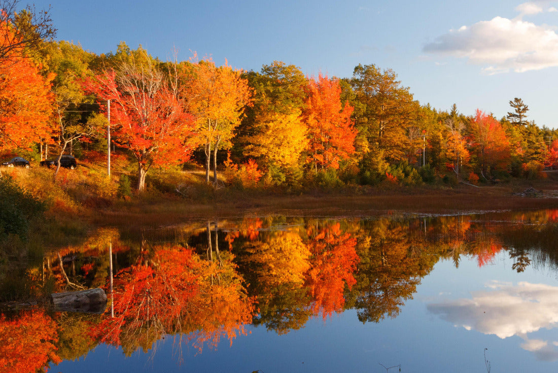 Noah Jigsaw Puzzle Acadia National Park fall colors with bright colored trees reflecting in the water 2000 pieces