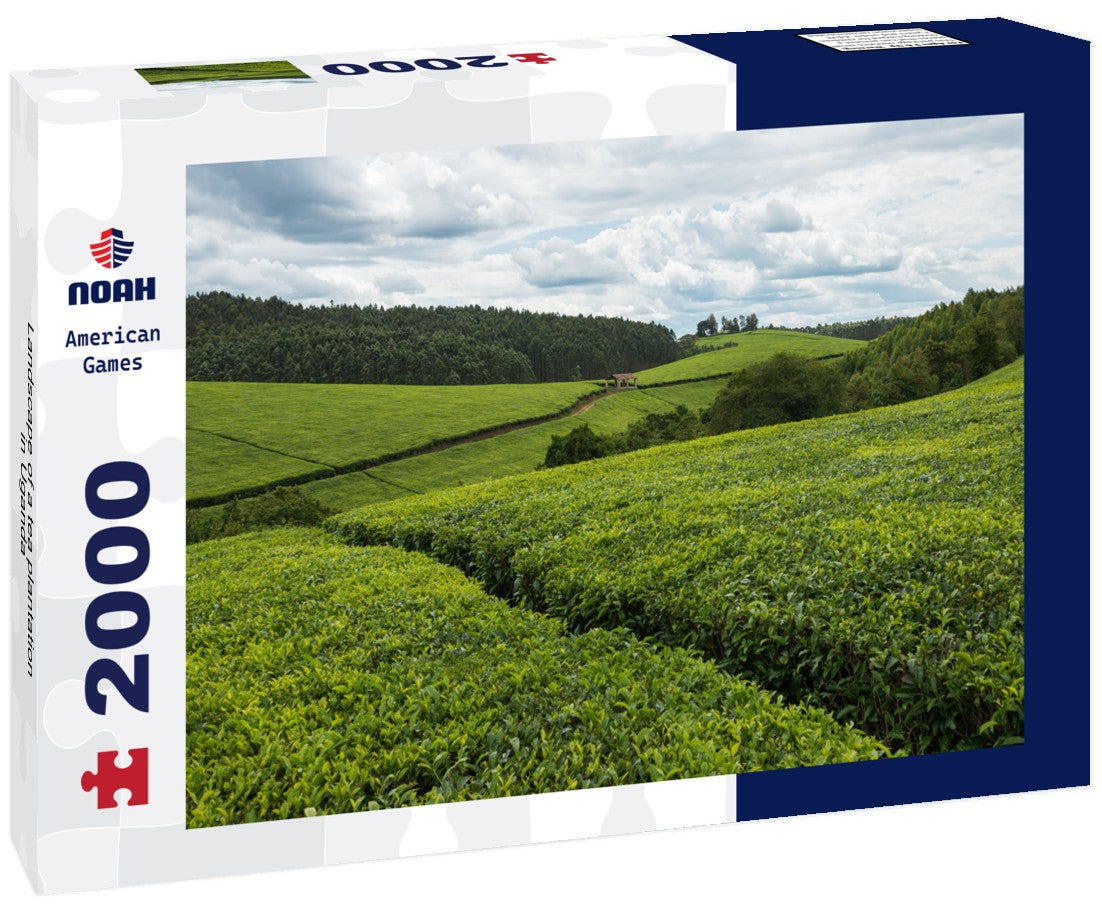 Landscape of a tea plantation in Uganda 2000pc Puzzle