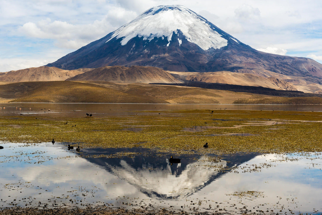 Noah Jigsaw Puzzle Parinacota volcano and Chungara lake, Lauca National Park (Chile) 2000 pieces