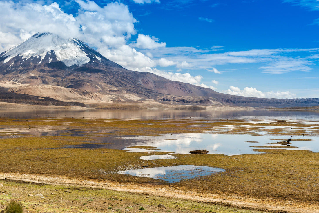 Volcano Parinacota and Chungara lake, Lauca National Park (Chile) 2000pc Puzzle