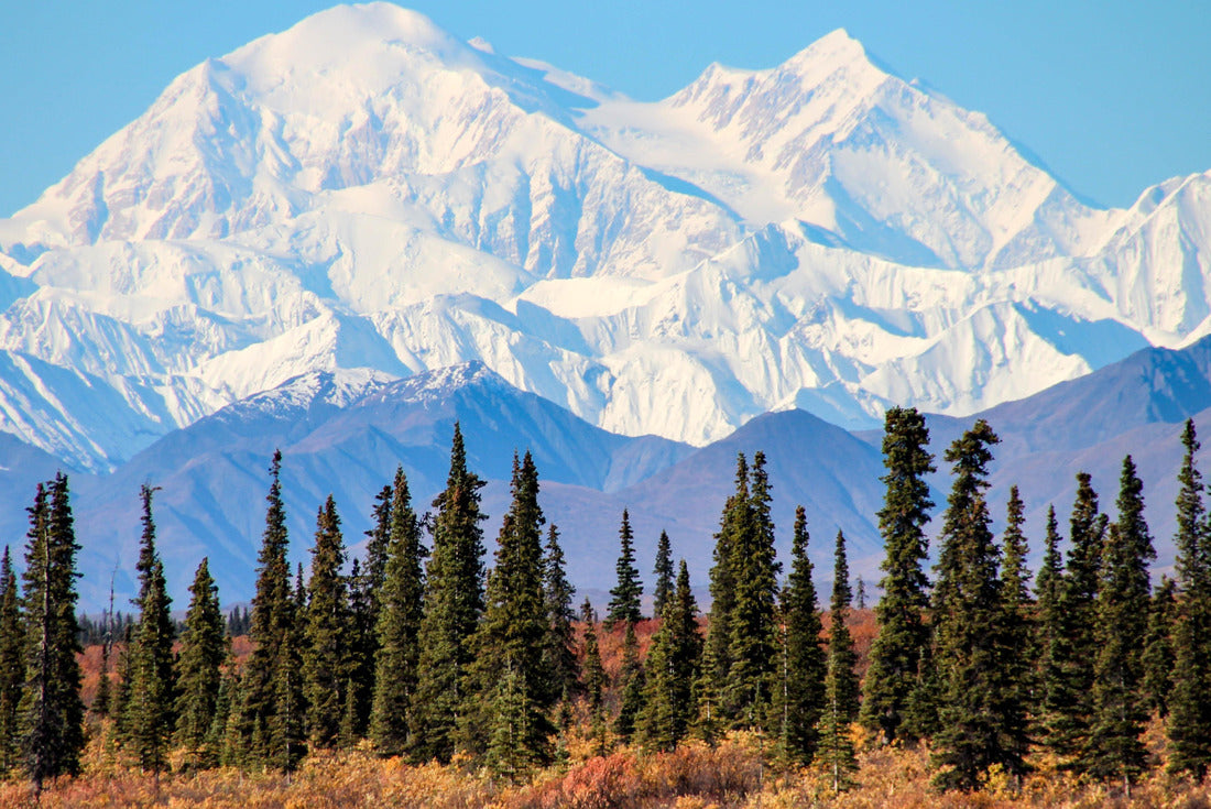 Denali is the highest mountain peak in North America, located in Alaska 2000pc Puzzle