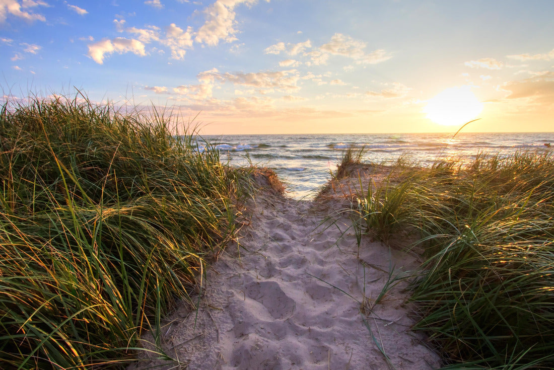 Path to a sunny beach. Sand beach path leads to a sunny summer horizon over the open waters of Lake Michigan. Hoffmaster State Park. Muskegon, Michigan 2000pc Puzzle