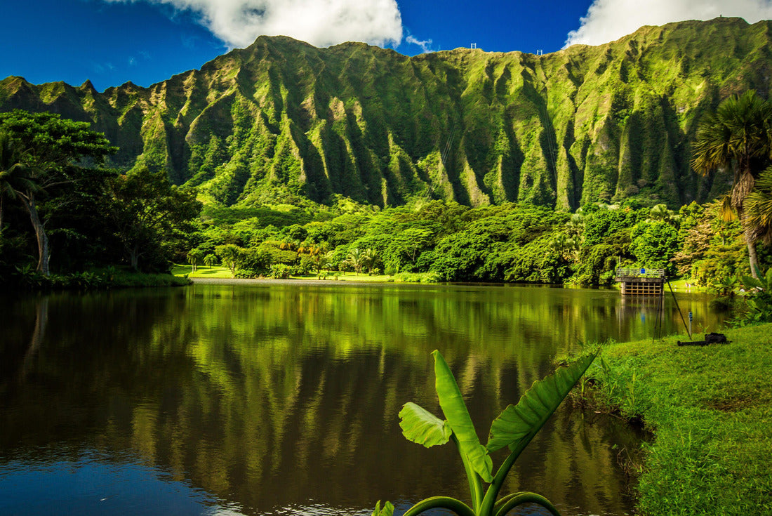 Ho'omaluhia Botanical Garden in Kaneohe, Oahu, Hawaii 2000pc Puzzle