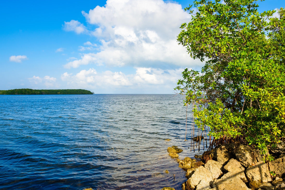 Noah Jigsaw Puzzle Beautiful Biscayne National Park vista from Black Creek Trail 2000 pieces