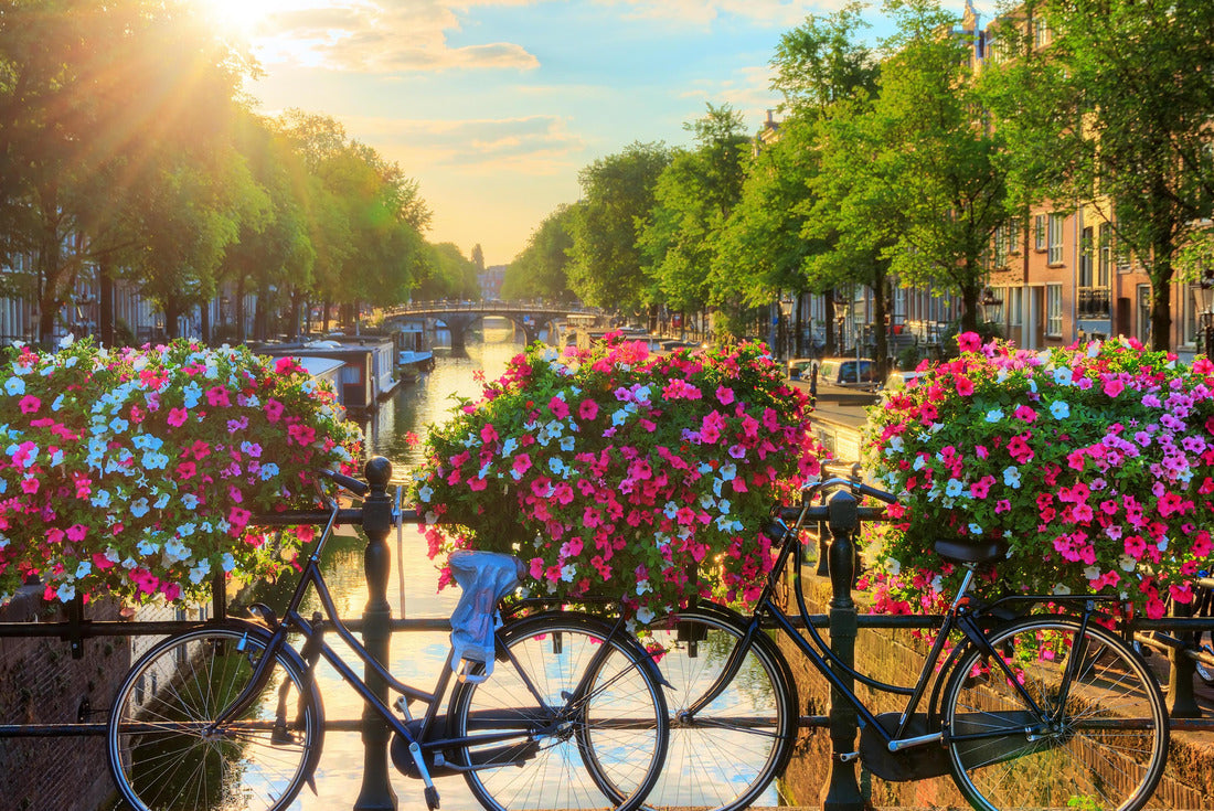 Beautiful summer sunrise on the famous UNESCO World Heritage canals of Amsterdam, Netherlands, with vibrant flowers and bicycles on a bridge 2000pc Puzzle