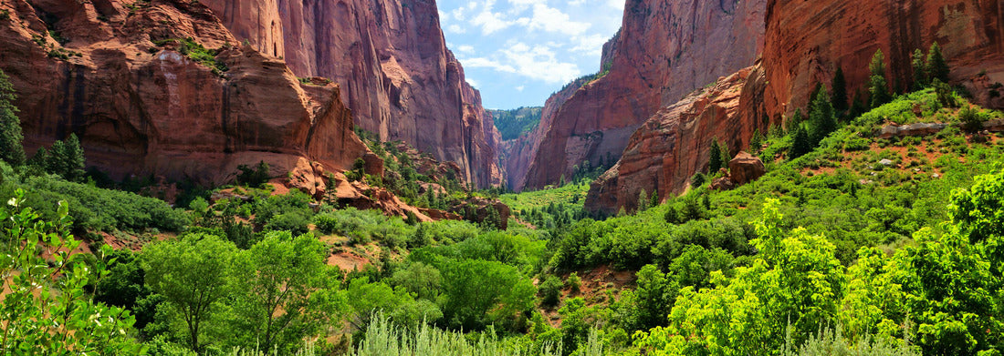 Noah Jigsaw Puzzle Zion National Park, view through the red cliffs of Kolob Canyon, USA panorama 1000 pieces