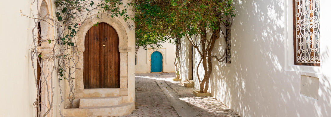 Noah Jigsaw Puzzle Streets of Erriadh, traditional Tunisian village with colorful doors, Djerba panorama 1000 pieces