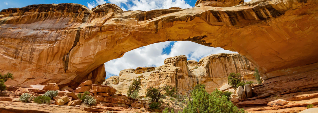 Noah Jigsaw Puzzle Sunny view of the Hickman Bridge of Capitol Reef National Park at Utah panorama 1000 pieces