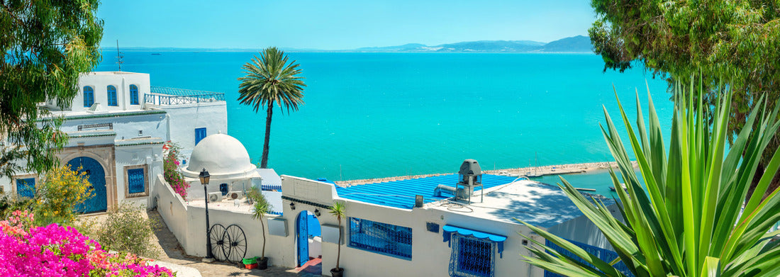 Noah Jigsaw Puzzle Panoramic landscape with typical white blue houses and beautiful view of the sea. Sidi Bou Said, Tunisia panorama 1000 pieces