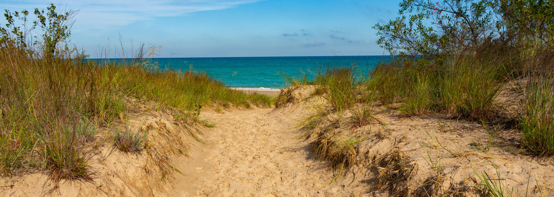 Noah Jigsaw Puzzle Pathway to Kemil Beach on a beautiful September morning. Indiana Dunes National Park, Indiana, USA panorama 1000 pieces
