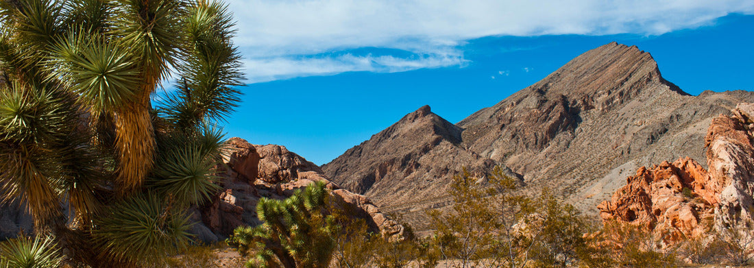 USA, Nevada, Mesquite. Gold Butte National Monument, Whitney Pocket and Black Rock Mountain 1000pc Panoramic Puzzle
