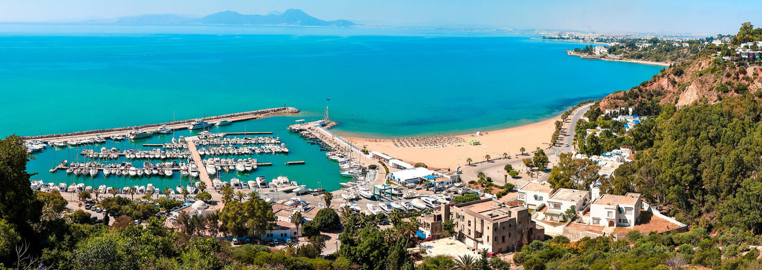 Noah Jigsaw Puzzle Tunisia panorama 1000 pieces