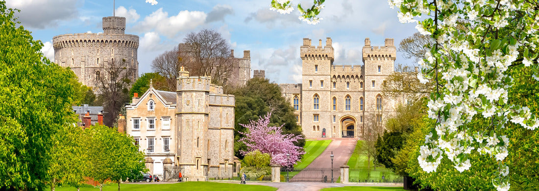 Noah Jigsaw Puzzle Long walk to Windsor Castle in spring, London suburbs, United Kingdom panorama 1000 pieces