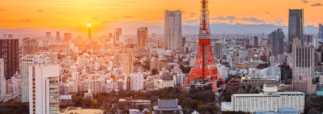 Noah Jigsaw Puzzle Tokyo, Japan modern urban skyline at sunset overlooking the tower panorama 1000 pieces