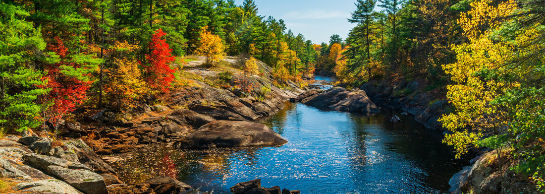 Noah Jigsaw Puzzle Queen Elizabeth II Wildlands Provincial Park Kawartha Lakes County Ontario Canada with beautiful, colorful forest with vibrant colors in the fall panorama 1000 pieces