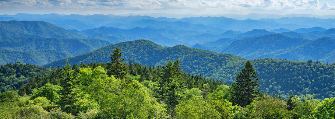 Noah Jigsaw Puzzle Blue Ridge Parkway summer Landscape. Beautiful summer mountain panorama. Green mountains and layers of hills. Near Asheville, North Carolina. Blue Ridge Parkway panorama 1000 pieces