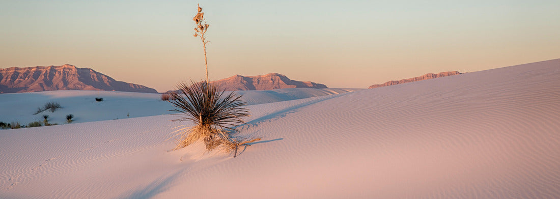 Noah Jigsaw Puzzle Adam's Needle in White Sands National Park panorama 1000 pieces