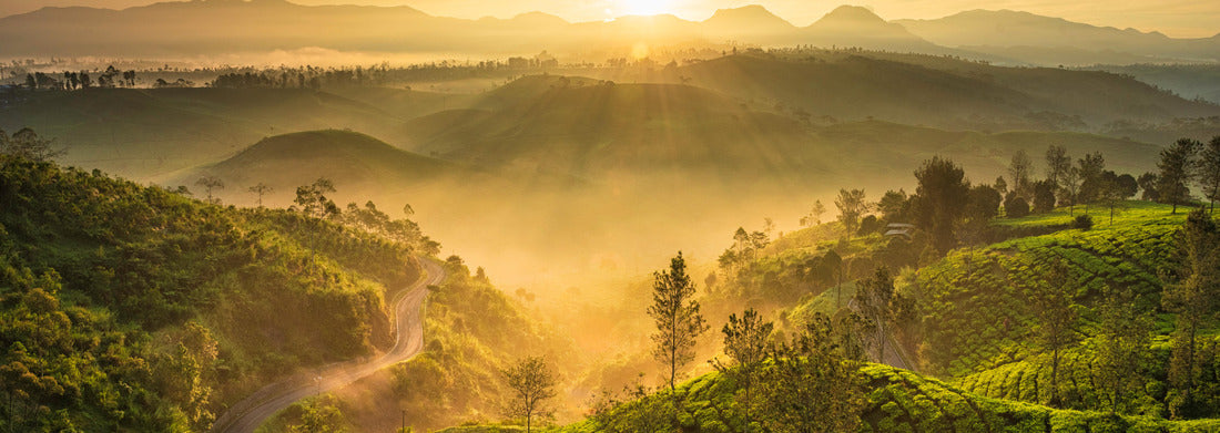 Noah Jigsaw Puzzle Foggy yet warm sunrise in Cukul Tea Garden, Bandung, Indonesia panorama 1000 pieces