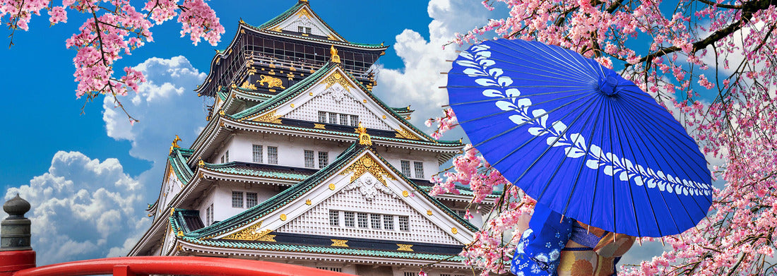 Noah Jigsaw Puzzle Asian woman wearing japanese traditional kimono looking at cherry blossoms and castle in Osaka, Japan panorama 1000 pieces