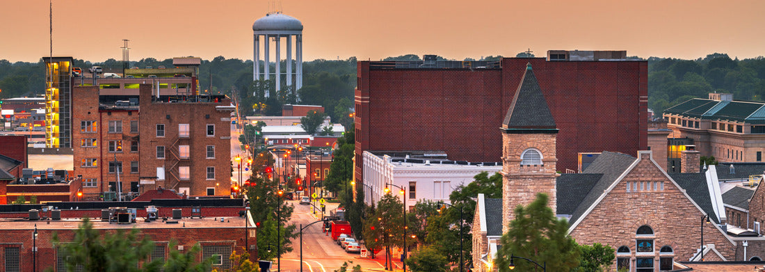 Noah Jigsaw Puzzle Columbia, Missouri, USA downtown city skyline at twilight panorama 1000 pieces